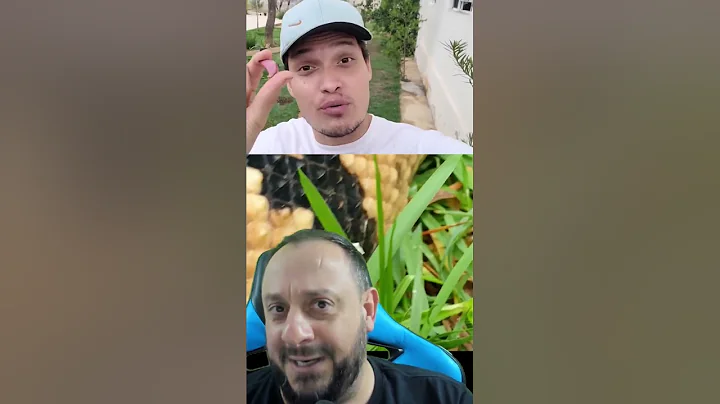 Surucucu pico de jaca picou O youtuber Victor More...
