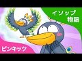 おしゃれな カラス | The Crow and the Peacock | イソップ物語 | ピンキッツ童話