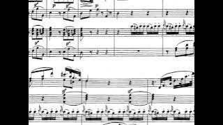 [Kocsis-Ránki] Mozart: Sonata for Two Pianos in D, K448