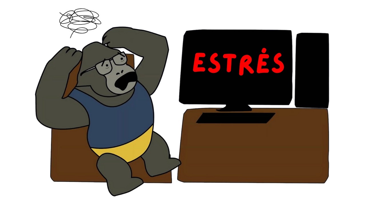 DEJA DE PREOCUPARTE (por absolutamente todo)