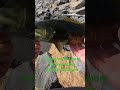 Bass fishing  subscribe for mor fishing videos  #fishing #bassfishing#outdoors #pnwfishin#washington