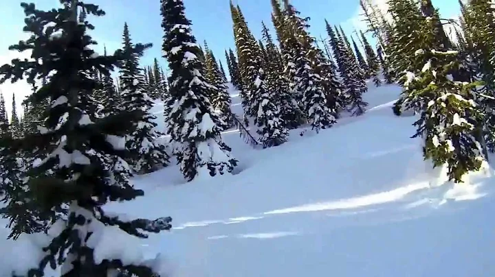 Fernie Tree Riding