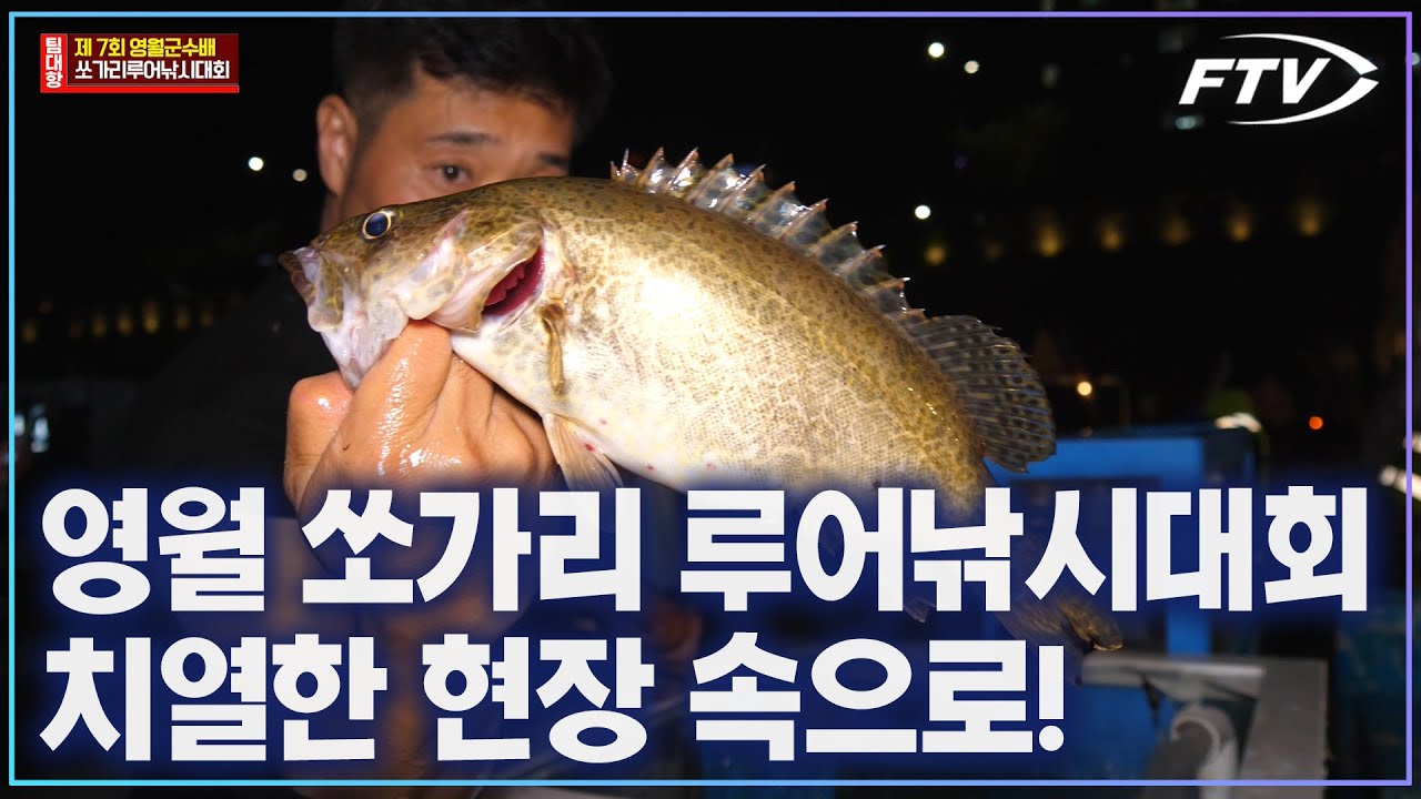 제 7회 영월군수배 쏘가리 루어 낚시 대회 치열한 현장!