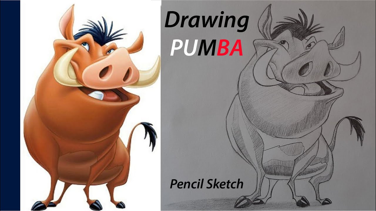 Drawing PUMBA- Disney Character | Pencil Sketch - YouTube