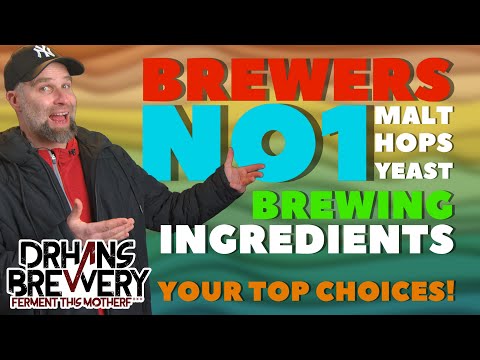 The Most Popular Brewing Ingredients for BEER 2022