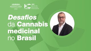 Desafios da Cannabis Medicinal no Brasil