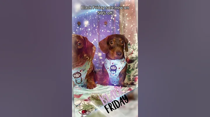 GRAB 50% OFF THIS BLACK FRIDAY! Shop now & save big on everything