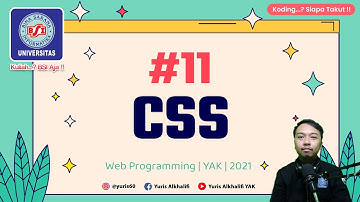 CSS #11 | Web Programming 1