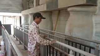 Di Esek Esek... Akhirnya Keluar Crott Crott