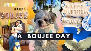 MY BOUJEE DOG TURNS 1! dog birthday party vlog (weekend in my life)