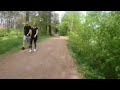 Löpning: Age-group, motion och Para-triathlon