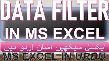 Lecture on Data Filter in MS Excel Urdu/Hindi