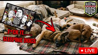 Should Have Let the Dogs Sleep... 🐶💤💥 | Sleeping Dogs #live #game