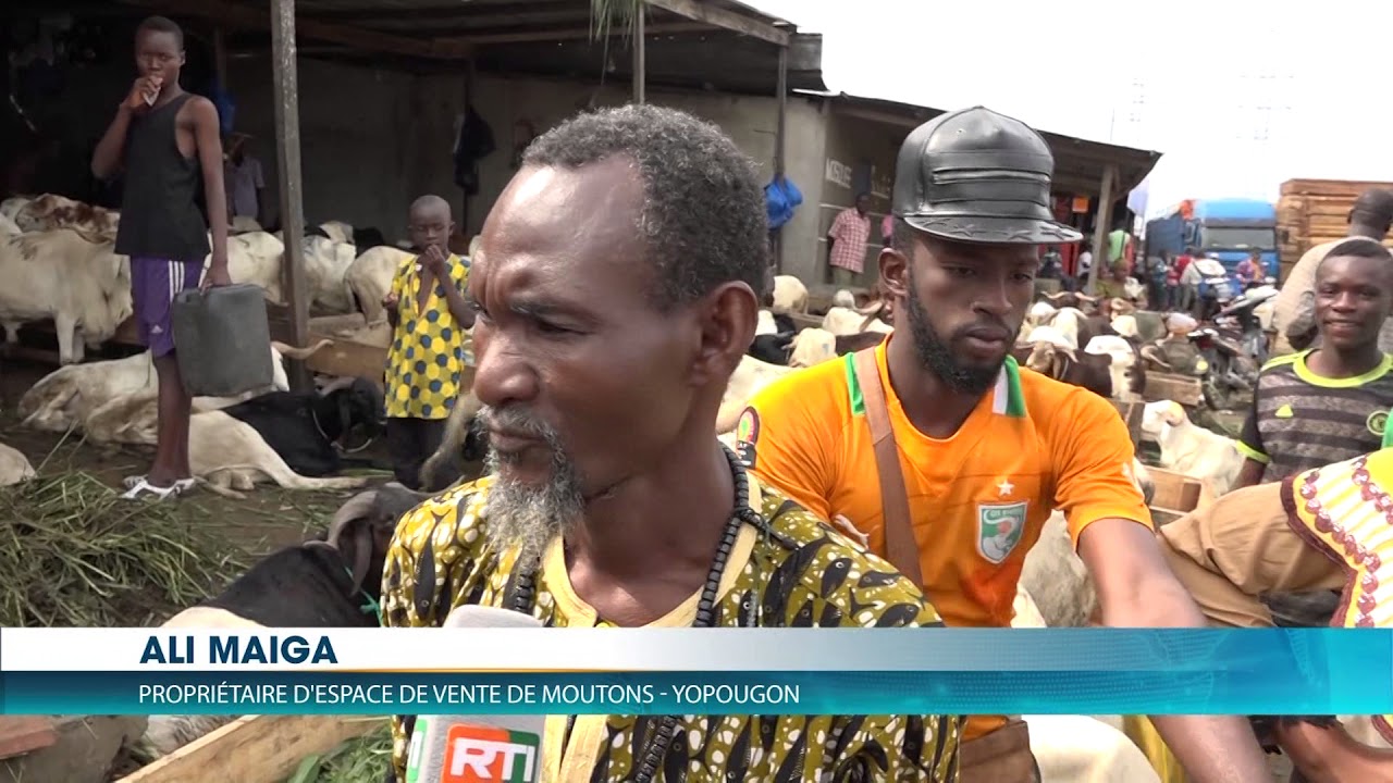 Tabaski : Quand le mouton se rapproche des consommateurs