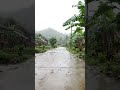 Walking in the Rain: Peaceful Rural Village POV (East Nusa Tenggara) 🌧️ | ASMR Nature