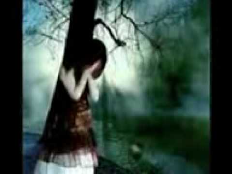علاء عبدالخالق بحلم 3