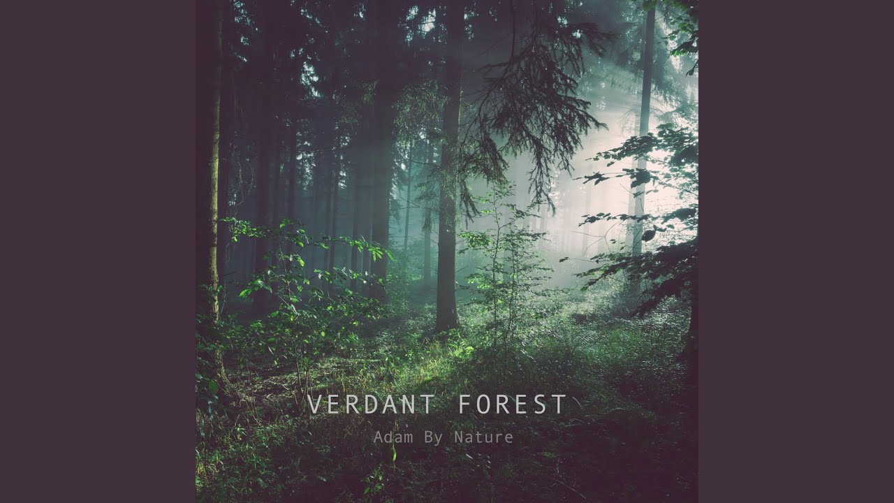 Verdant Forest