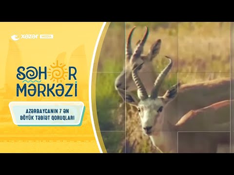 Video: Qafqaz Dövlət Biosfer Təbiət Qoruğu: ətraflı məlumat