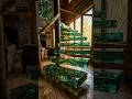 Luxury Vine Resin Staircase in a Forest Cabin#resinstairs #forestdesign #luxurycabin