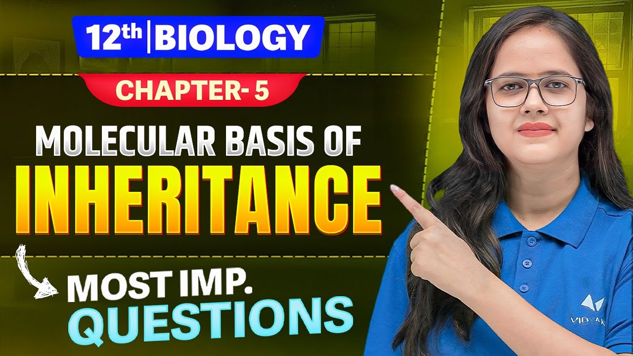 Class 12 Biology Chapter 5 | Molecular Basis of Inheritance Important ...