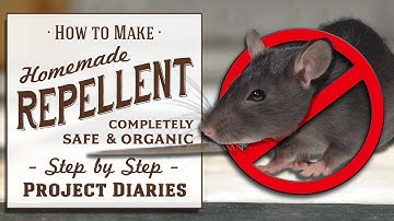 ★ Hoe maak je: zelfgemaakte afweerspray (goed voor ratten, muizen, eekhoorns, insecten, katten, h...