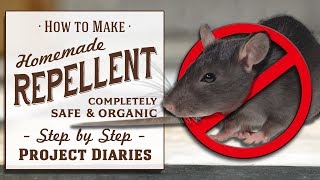 ★ How to: Make Homemade Repellent Spray (Good for Rats, Mice, Squirrels, Bugs, Cats, Deer & Insects)