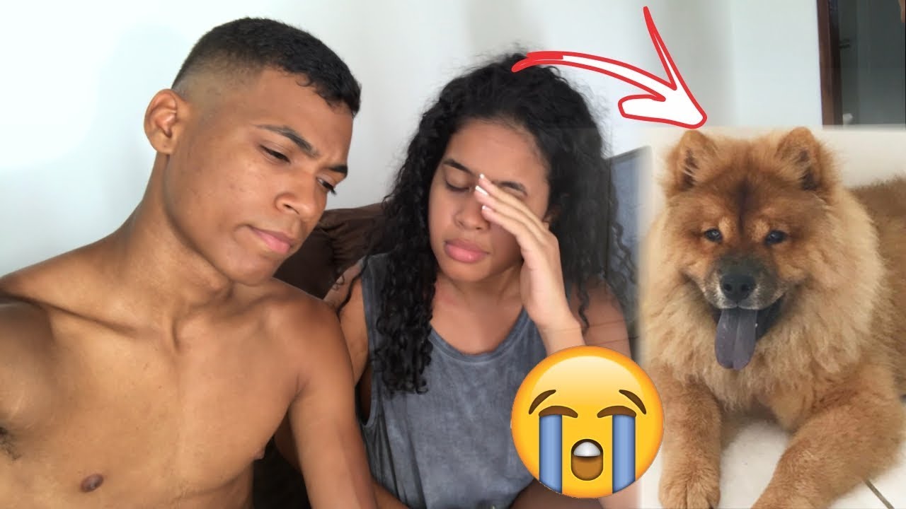 NOSSA CACHORRA FOI EMBORA!! infantile systemic hyalinosis