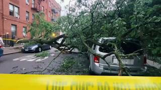 Storm topples trees, crushes cars on 95th Street in Queens