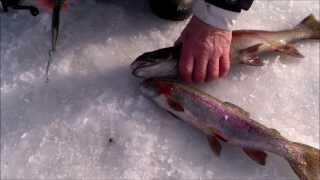first ice 1- 4- 2014