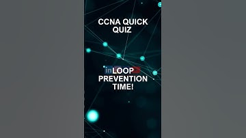 What protocol prevents switching loops
