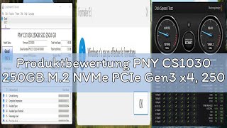 Produktbewertung PNY CS1030 250GB M.2 NVMe PCIe Gen3 x4, 2500MB/s Lesegeschwindigkeit, 1100MB/s Schr