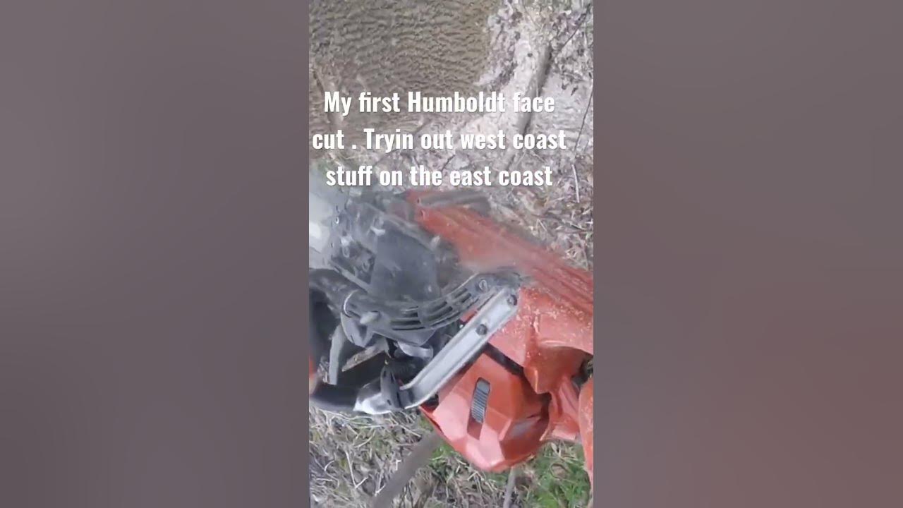 My first Humboldt face cut .Tryin out west coast stuff on the east