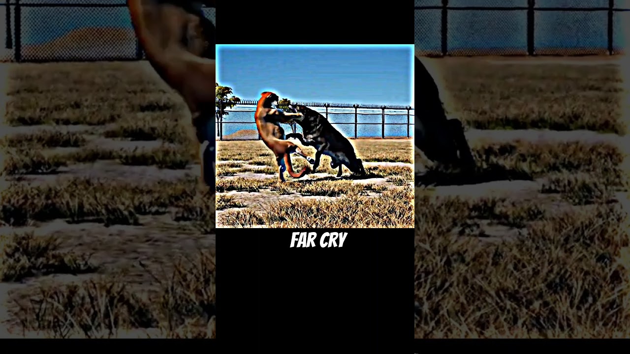 Animal Fights in video games 