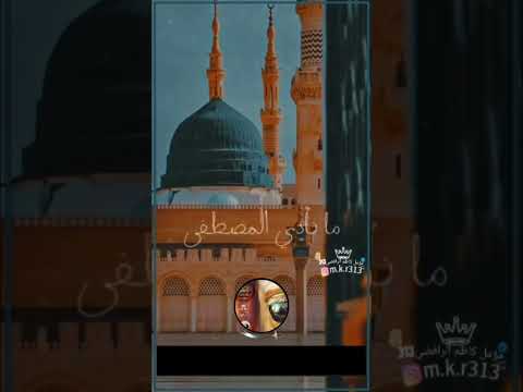 شيعة يعني نعبد الله ونؤمن بمذهب نبيه صعسلم  اشهد ان علي ولي الله خالد يفرفش مع عمر خلف الجبل