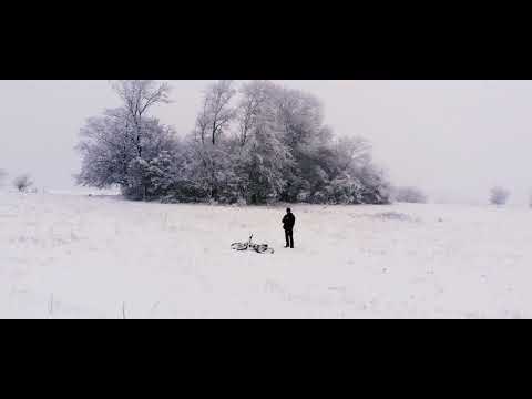 თვითიზოლაცია | Cinematic Video