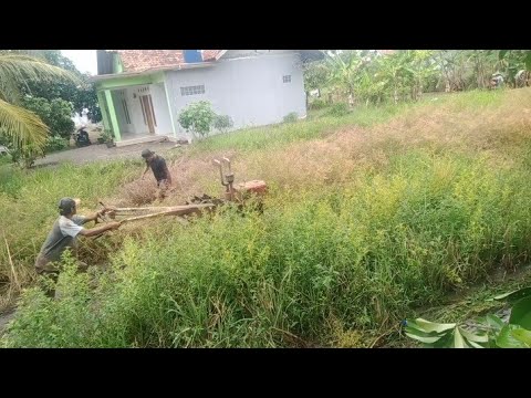 Video: Rake Traktor Berjalan Kaki (22 Gambar): Ciri Tedded Czech. Mengapa Mereka Tidak Mengumpulkan Rumput Kering? Ciri Cross Dan Belt Rake