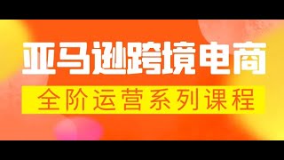 亚马逊跨境-电商全阶运营系列课程 每天10分钟，让你快速成为亚马逊运营高手