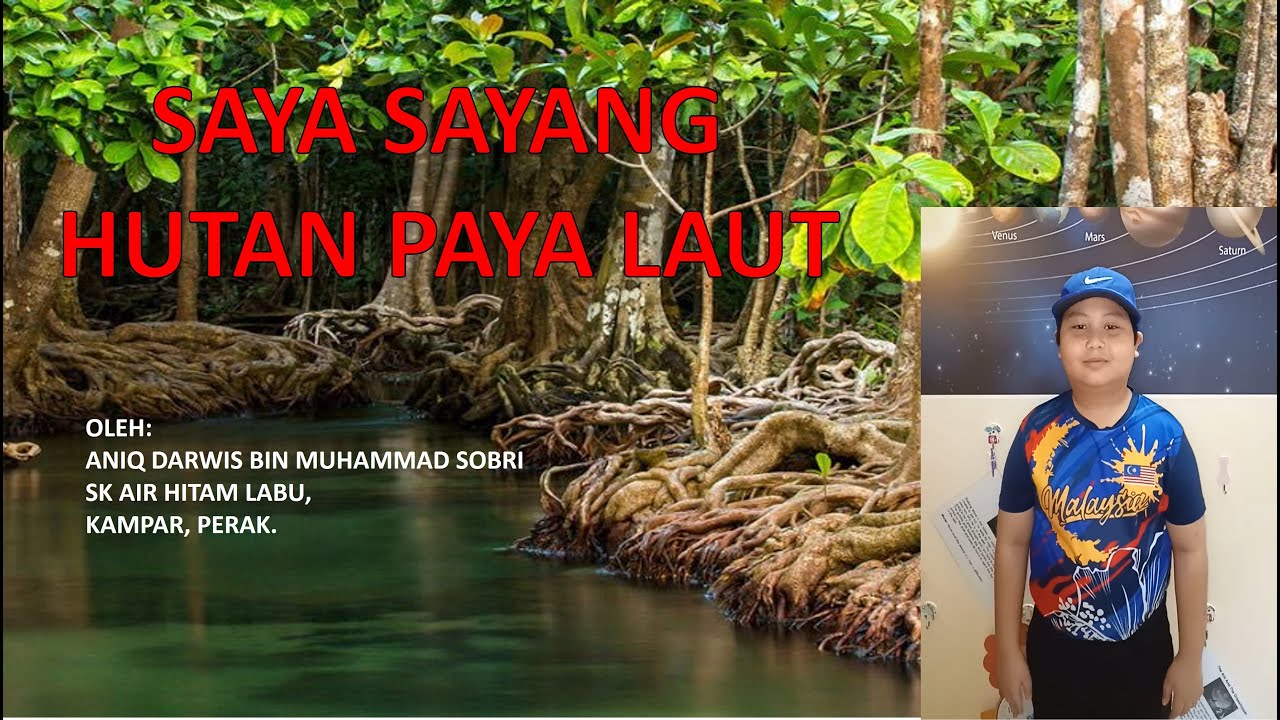 Saya Sayang Hutan Paya Laut by ANIQ DARWIS B MUHAMMAD SOBRI - YouTube