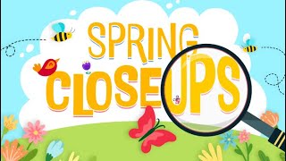 Spring Closeups Game Video