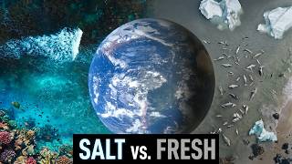What If All the Sea Water Becomes Fresh Water?