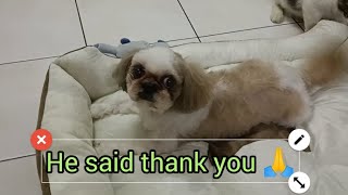 Unboxing Our Baby New Bed