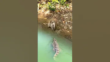 Jindagi Imtihan Leti Hai 