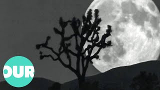 Dusk Til Dawn in The Mojave Desert | Our World