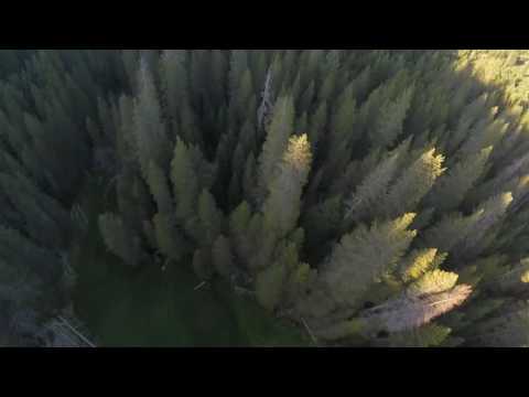 Skyward X 210 Prototype - Tree Diving Full Video