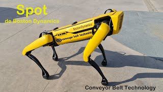 4K Spot De Boston Dynamics   Conveyor Belt Technology  Exponor 2022 Antofagasta