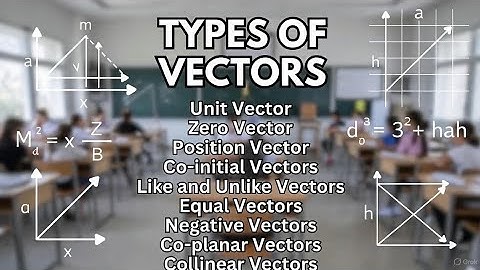 Soorten vectoren eenvoudig uitgelegd (nulvector, eenheidsvector, parallelvector en meer)