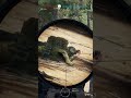 this game is crazy #ARMA