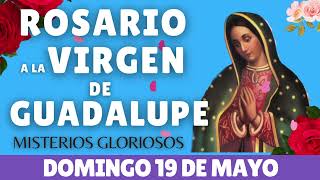 ✅ROSARIO A LA VIRGEN DE GUADALUPE HOY DOMINGO  19 DE MAYO FE  Catolica oficial