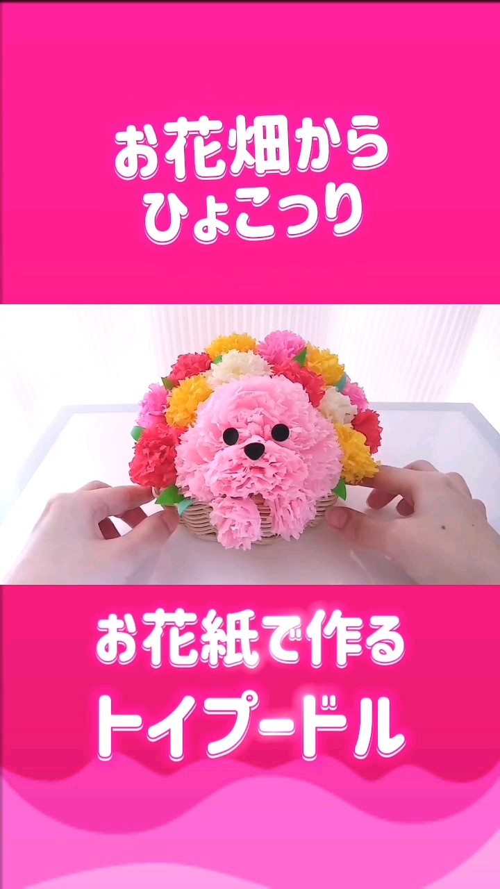 アレを組み合わせて作る#トイプードル #カーネーション #母の日