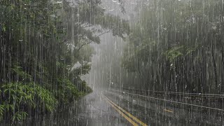 Lluvia Relajante Para Dormir en 5 Minutos - Sonido de Lluvia y Truenos en el Bosque Brumoso - ASMR